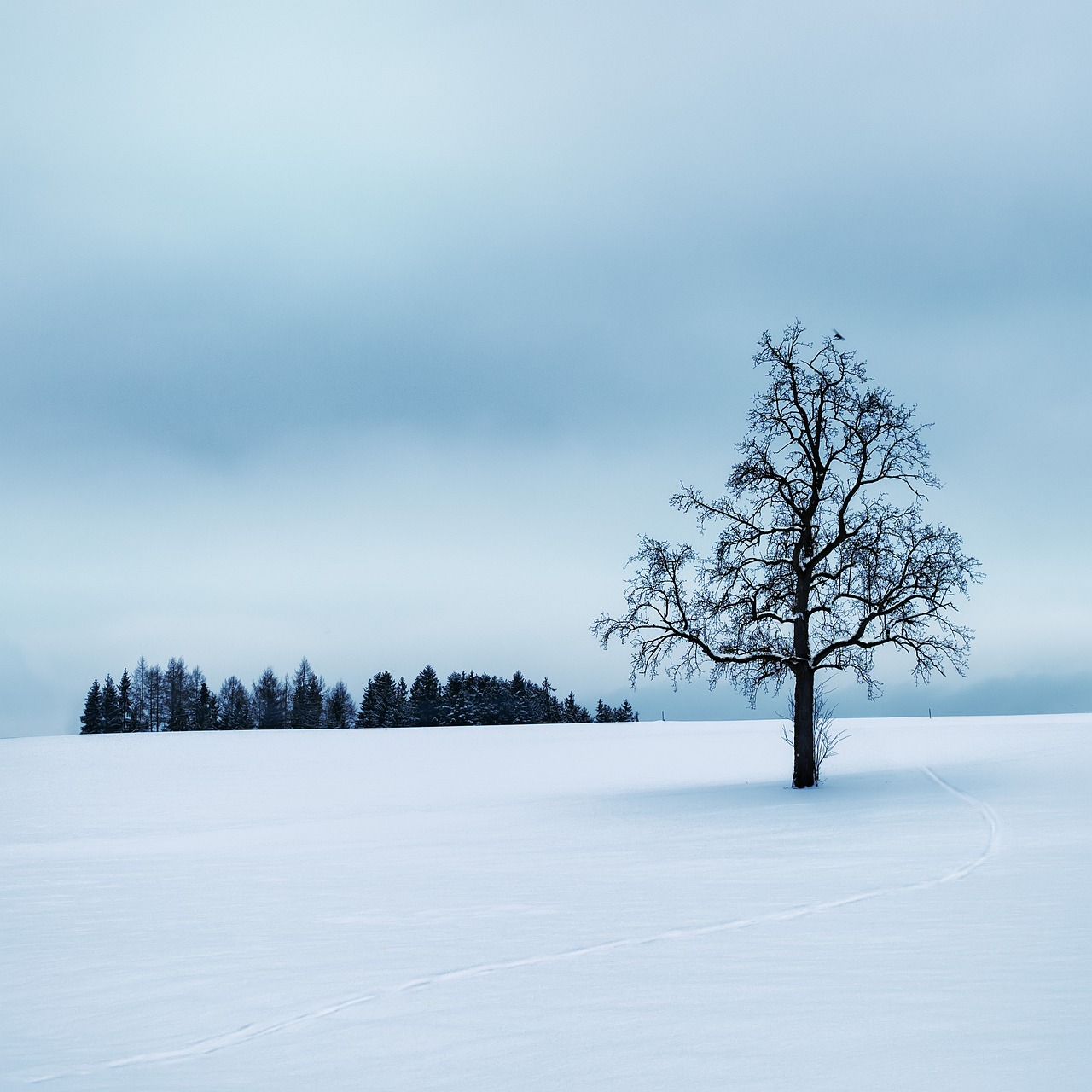 How to Simplify Your Life with Minimalist Principles